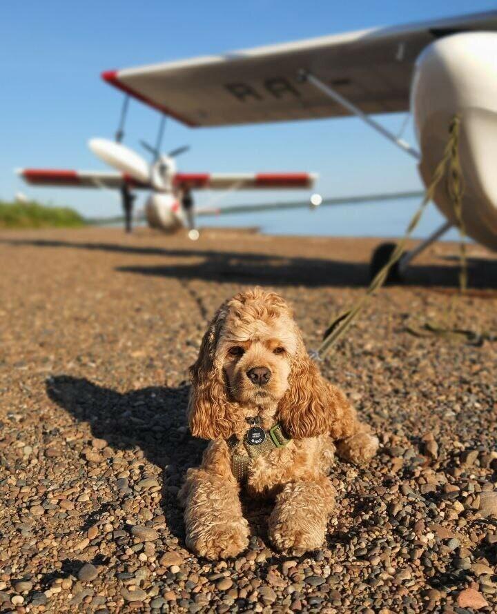 Листайте вправо, чтобы увидеть больше изображений