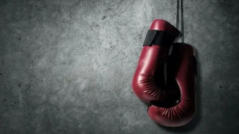    Фото: Khakimullin Aleksandr/Shutterstock/Fotodom