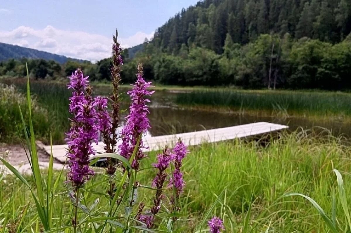    Синоптики рассказали, когда прекратятся дожди в Свердловской области