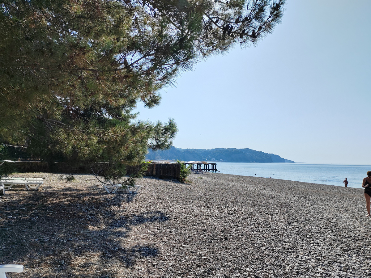 Сосны, пляж