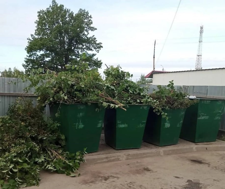 От веток до травы: растительные отходы станут твёрдыми коммунальными отходами