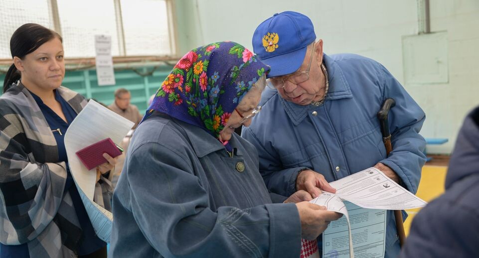    Выборы в гимназии № 4 в Подольске / Медиасток.рф