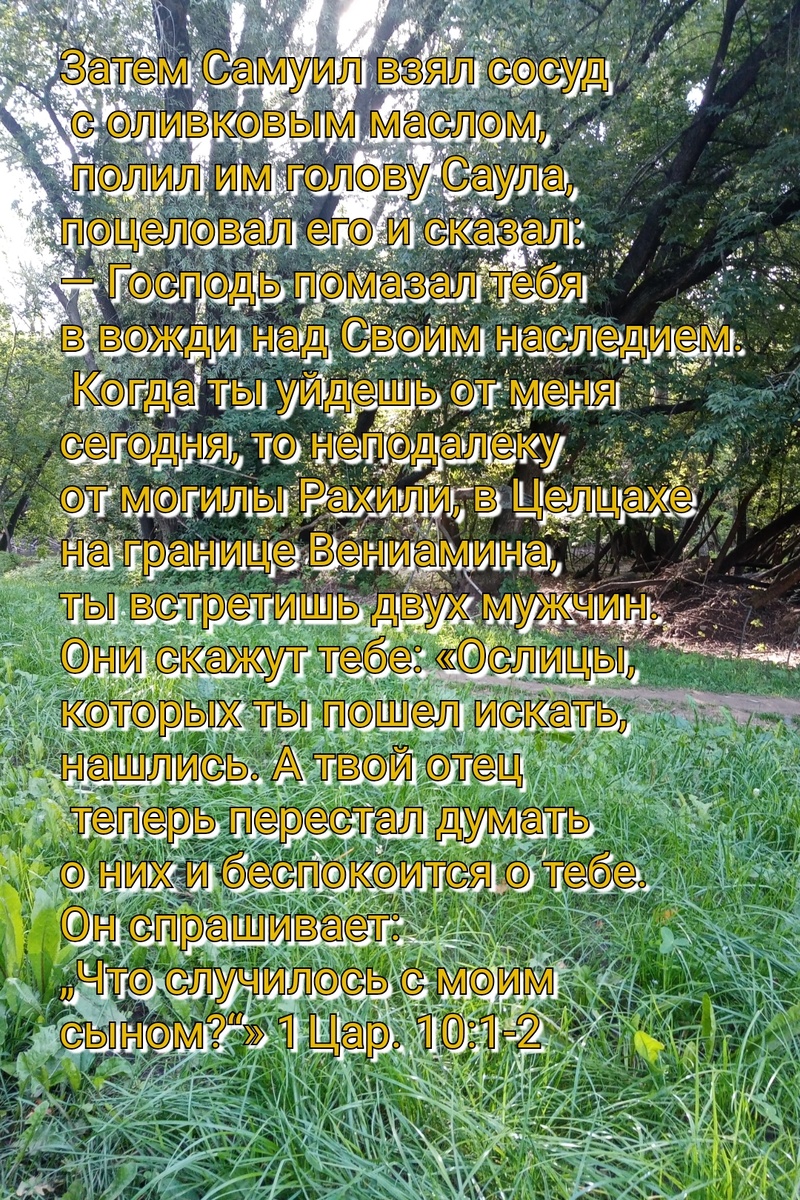 1 Царств 10:1-2