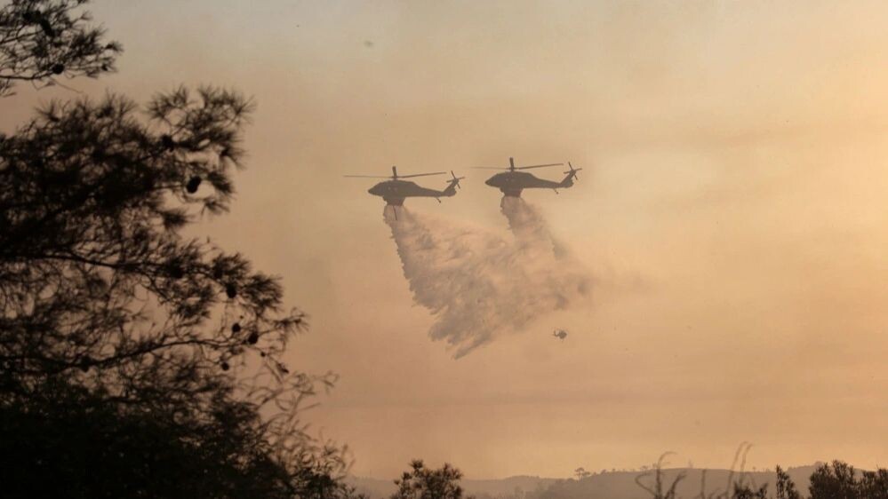    Фото: Tayiba8258/Shutterstock/Fotodom