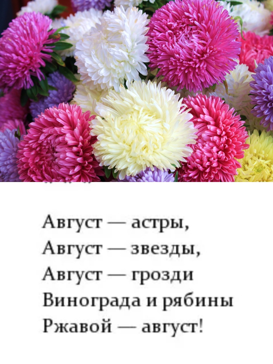 Фотоколлаж автора статьи 