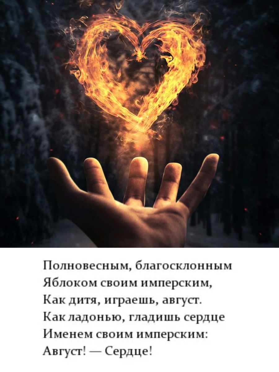 Фотоколлаж автора статьи 