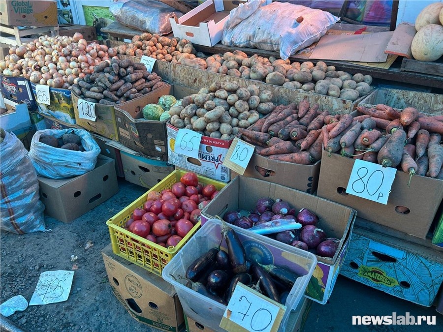 Морковь, картошка, лук и другие овощи выглядят вполне неплохо
