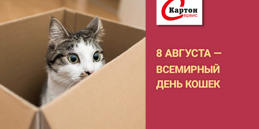 Всемирный день кошек и котов!