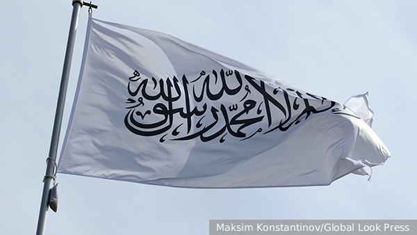     Фото: Maksim Konstantinov/Global Look Press   
 Текст: Антон Антонов