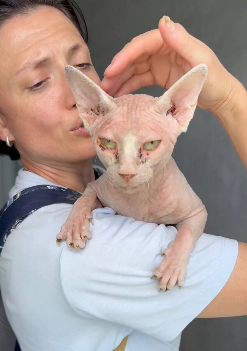 Обгоревший бездомный сфинкс. Фото из архива автора