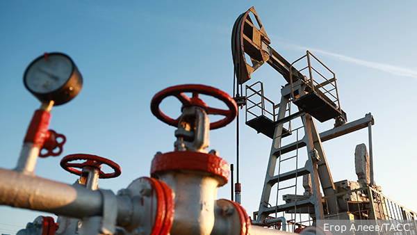     Фото: Егор Алеев/ТАСС   
 Текст: Алексей Дегтярев