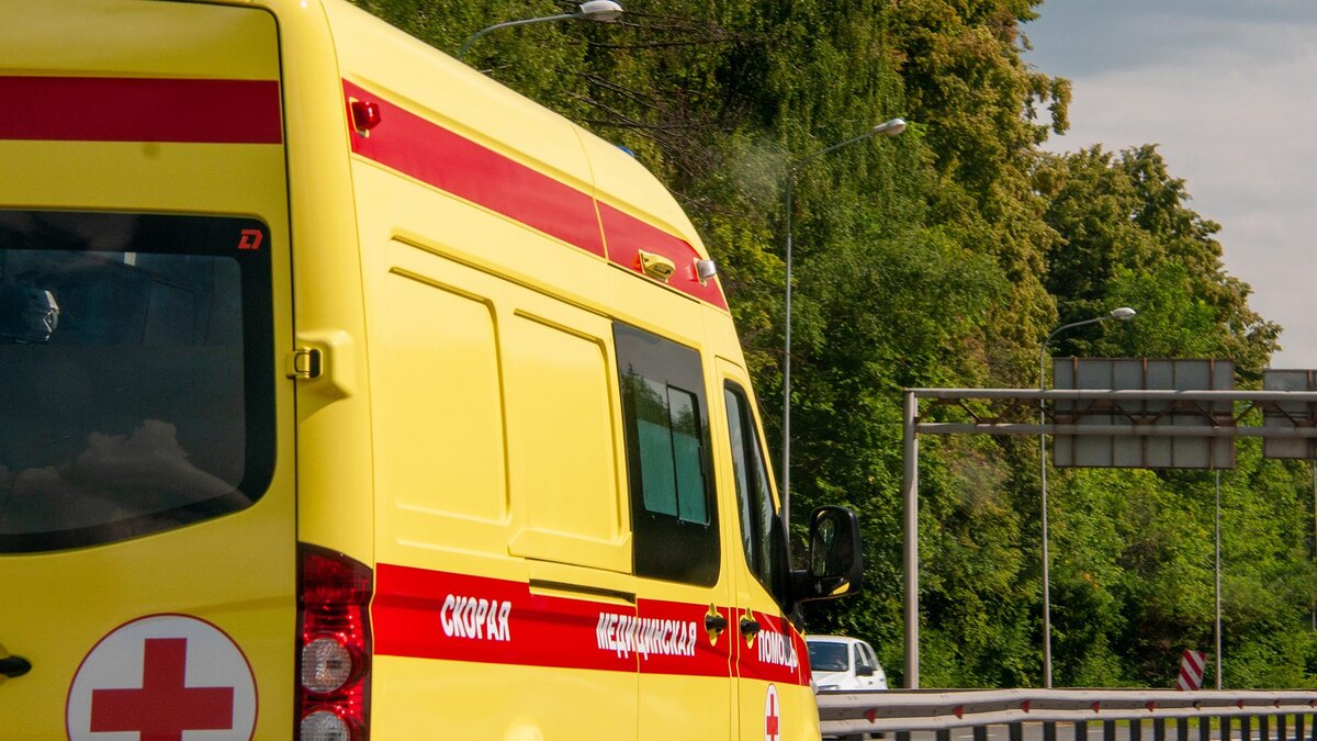    Фото: Svetlana Vozmilova/globallookpress.com