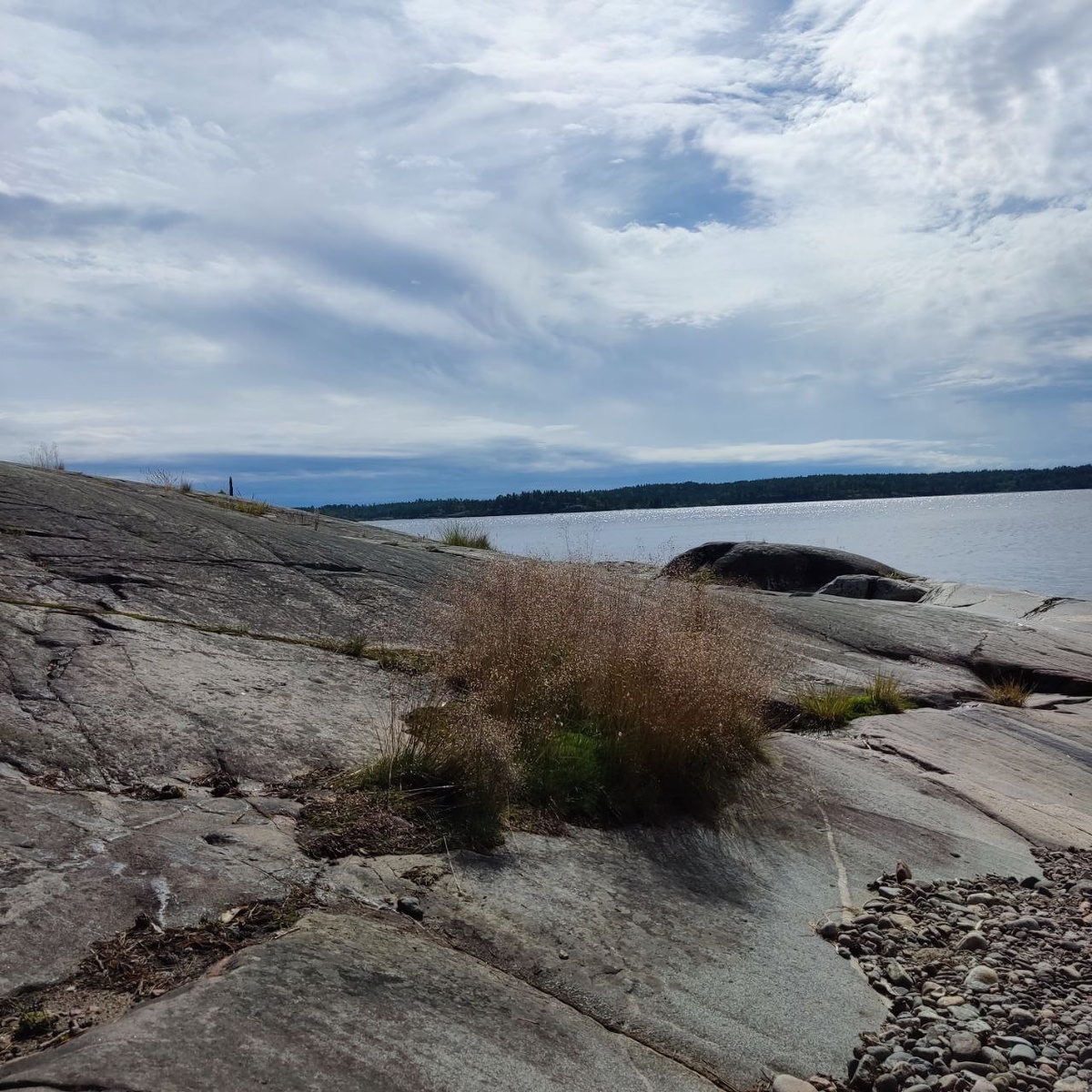 Кареллия, фото Татьяны Головатенко