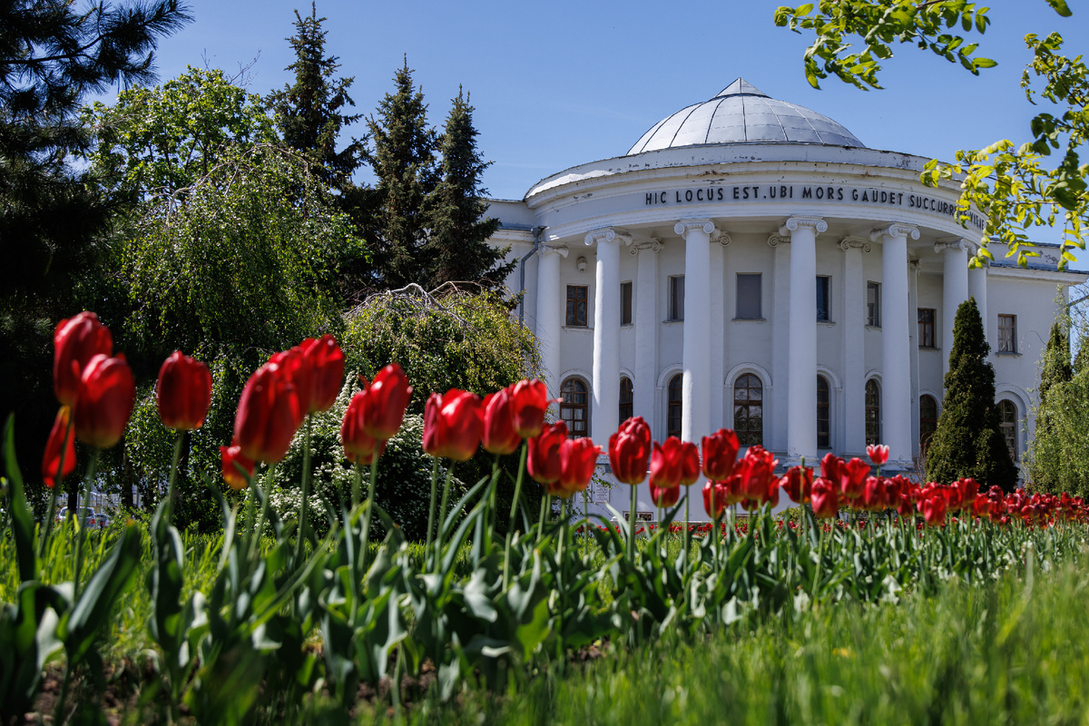 Здесь можно сделать кадры, которые выглядят так, будто сняты в Европе XIX века. 