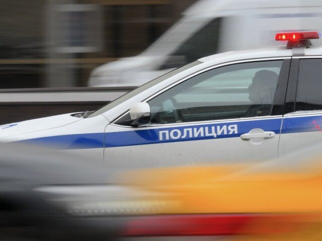    Фото: Москва 24/Антон Великжанин