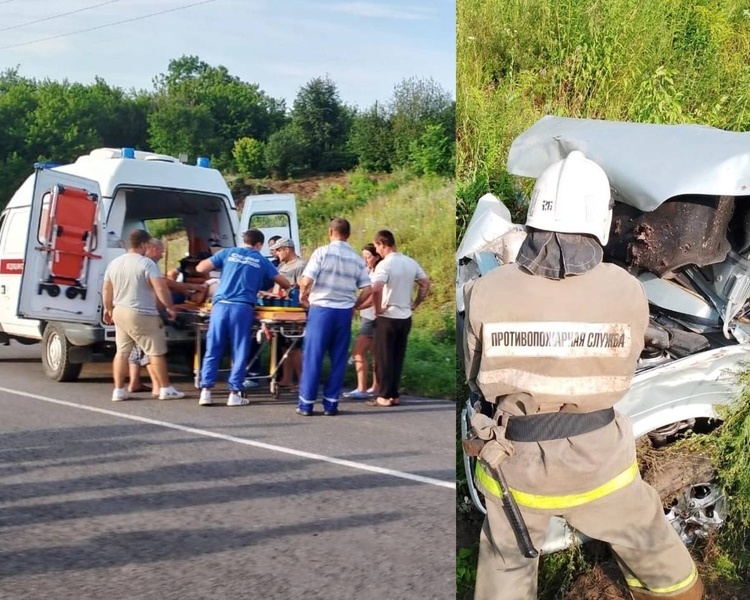     В Курской области водитель съехал в кювет и пострадал