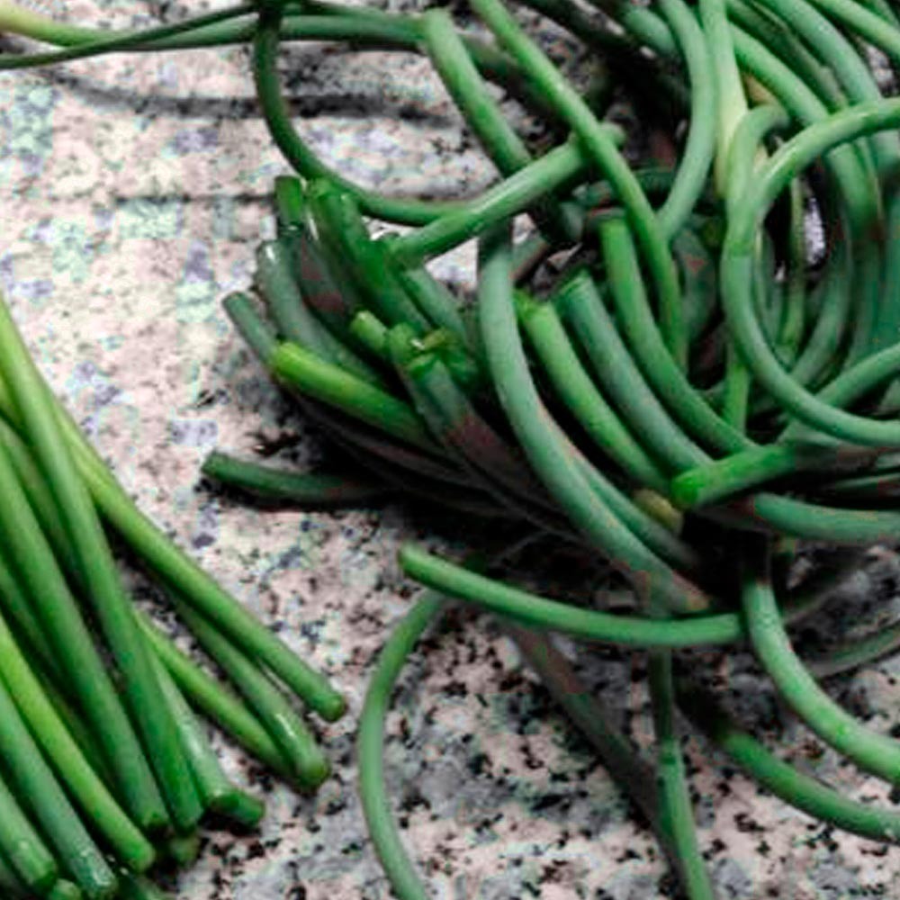 Чесночные стрелки в кулинарии