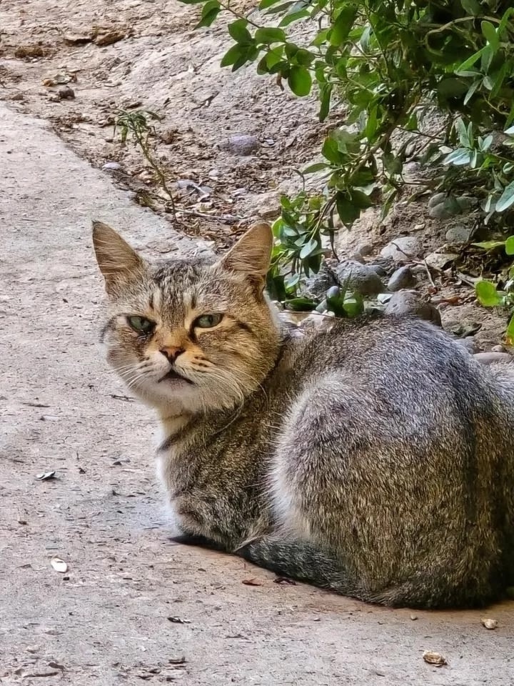 иллюстрация из яндекс картинки