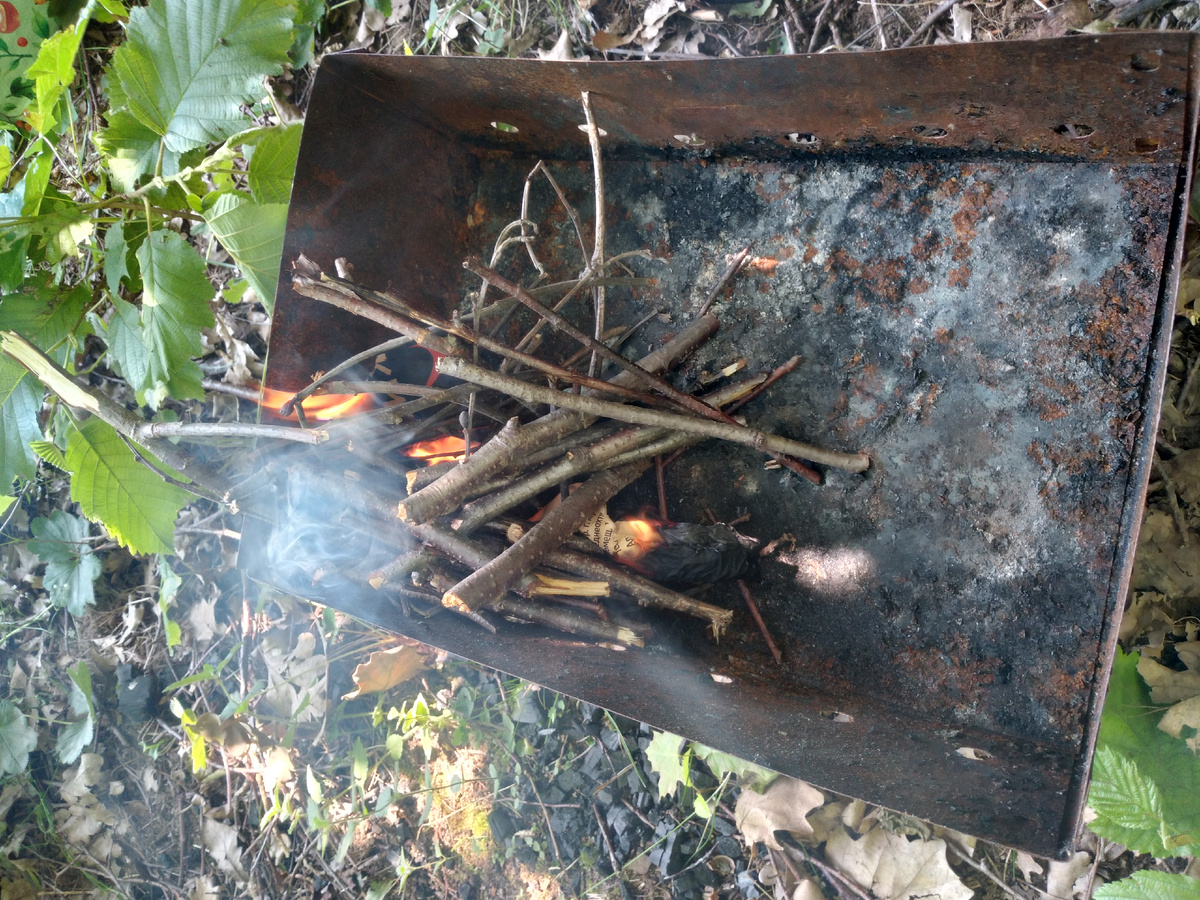 Мангал в кустах