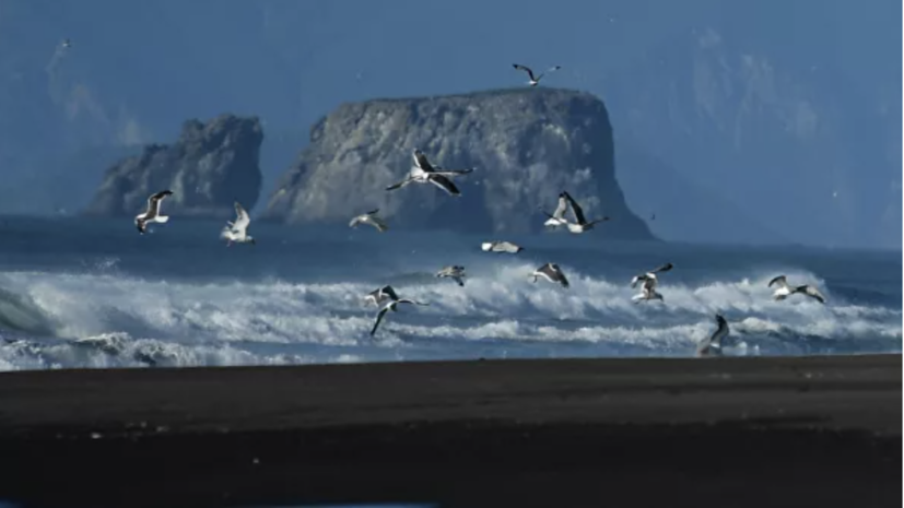   РИА Новости Алексей Филиппов