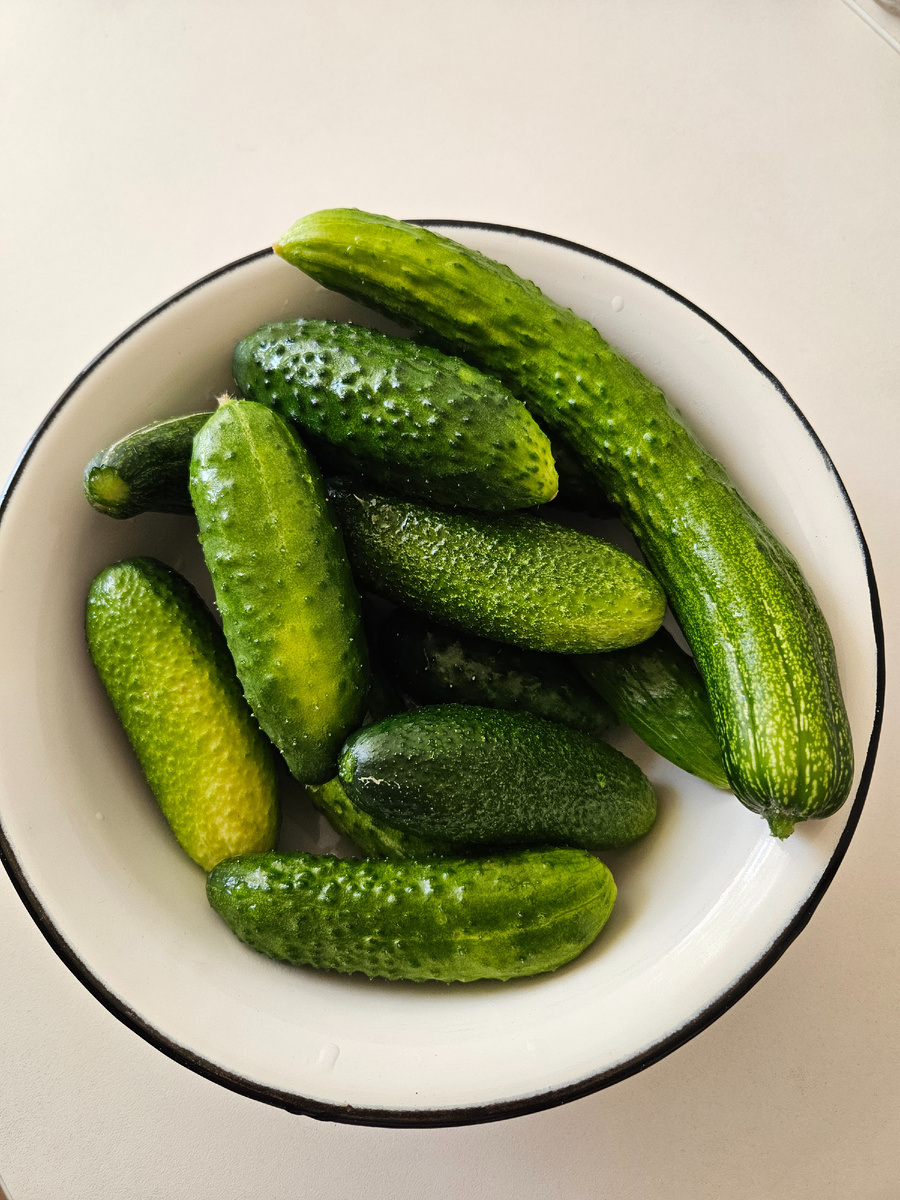 Утренний урожай