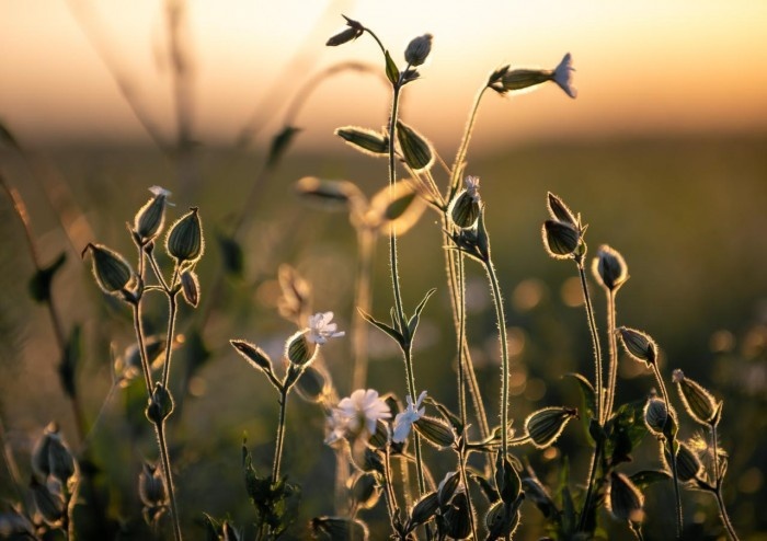    Фото: Юлия Федотова