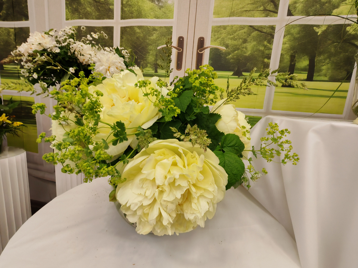 Ботсаду Петра Великого 2025 