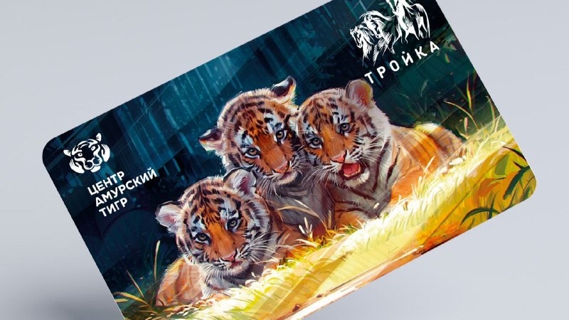    Фото: Telegram / Дептранс Москвы