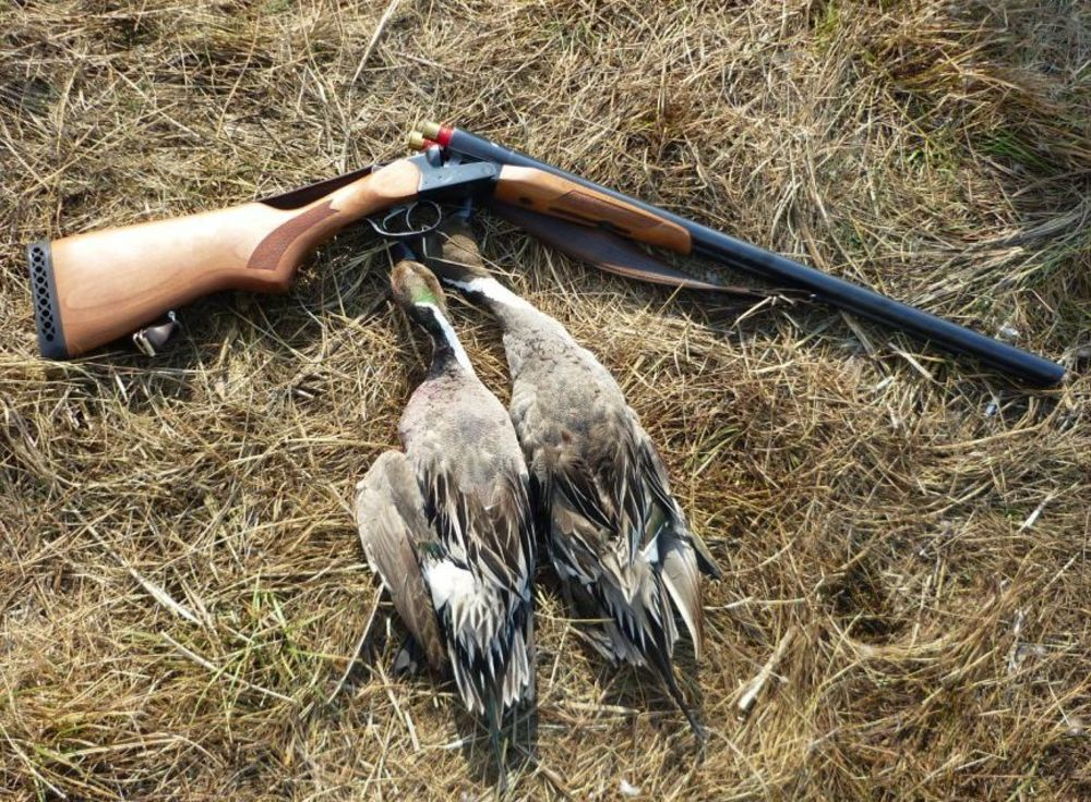 Гладкоствольное