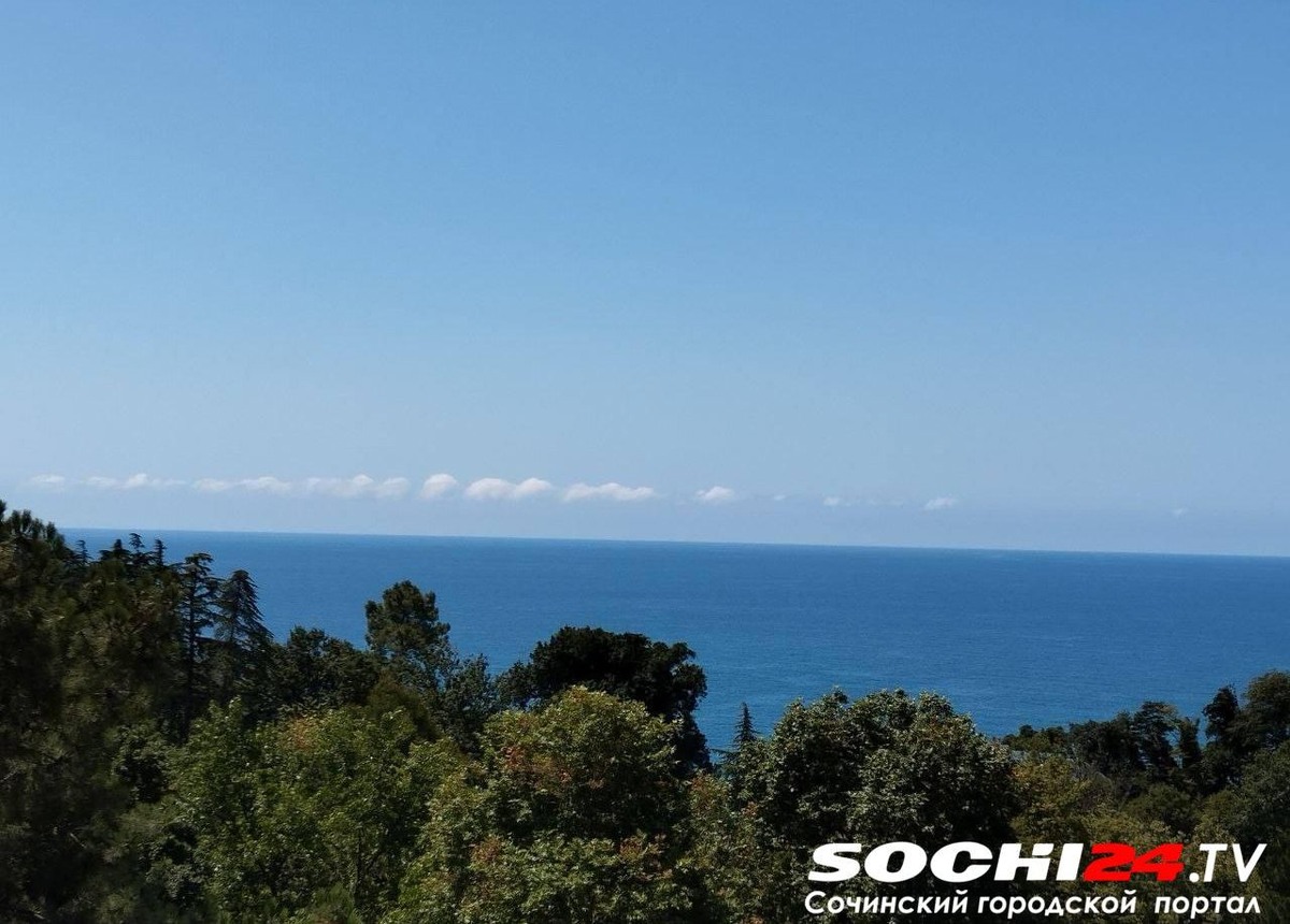    Фото: Сочи24 (Лидия Виленская)