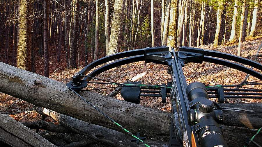 Охота с арбалетом