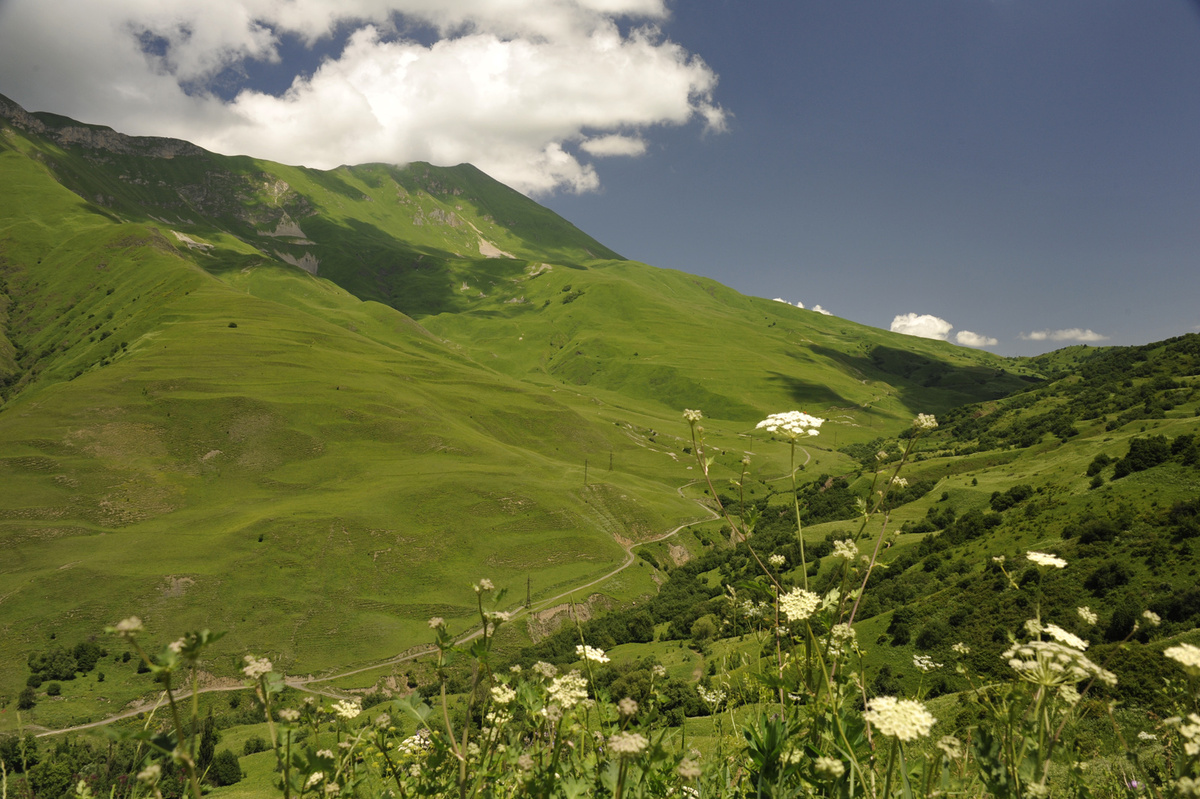 Куртатинское ущелье