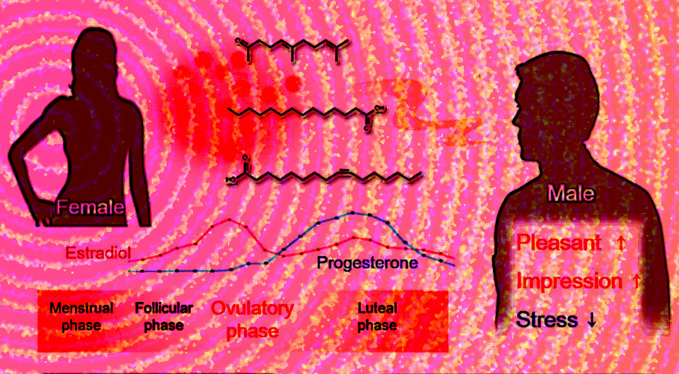   N + 1; Nozomi Ohgi et al. / iScience, 2025