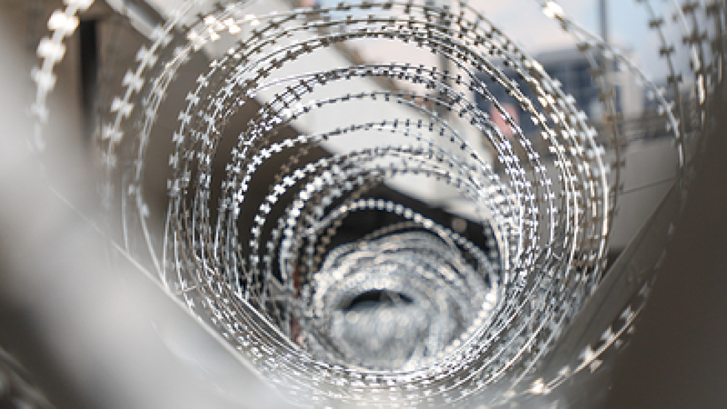    Belkin Alexey/Globallookpress