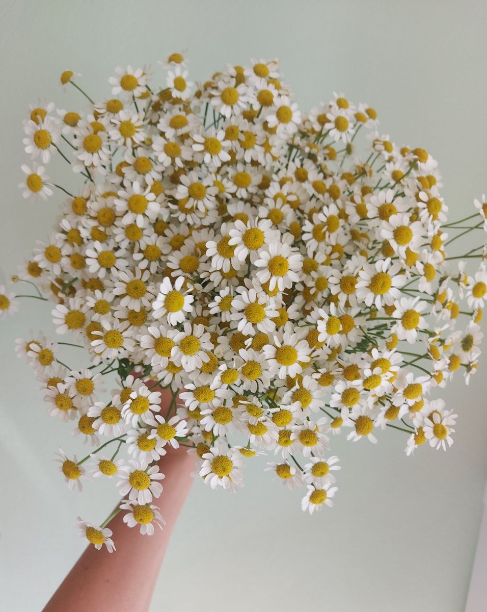 #Астропрогноз на 29 июля – 3 августа 2025. Ключевые аспекты дня