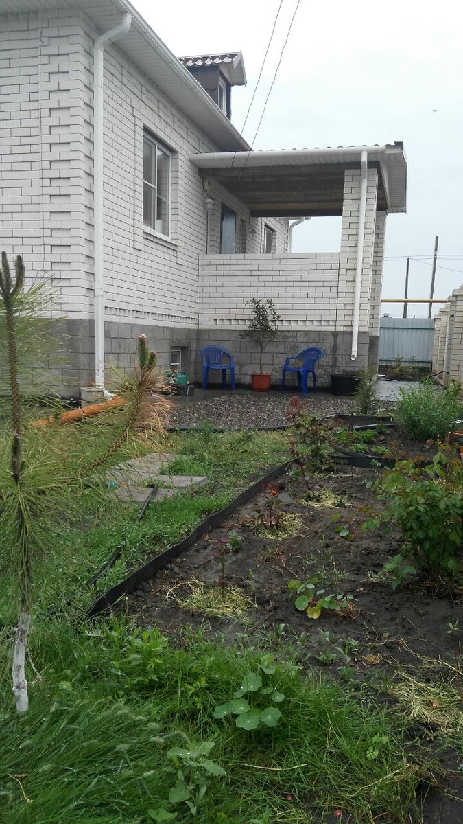 Тогда. Фото: Зеленая леди, сад, семья и томатный сок