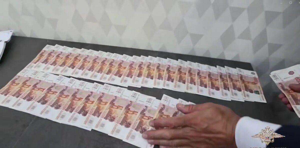    Фото: стоп-кадр видео пресс-службы МВД России