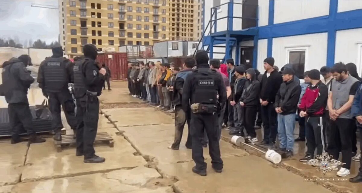    Фото: стоп-кадр видео пресс-службы МВД России