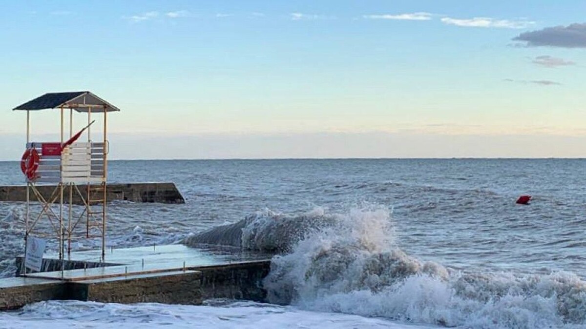    Фото: телеканал «Краснодар»