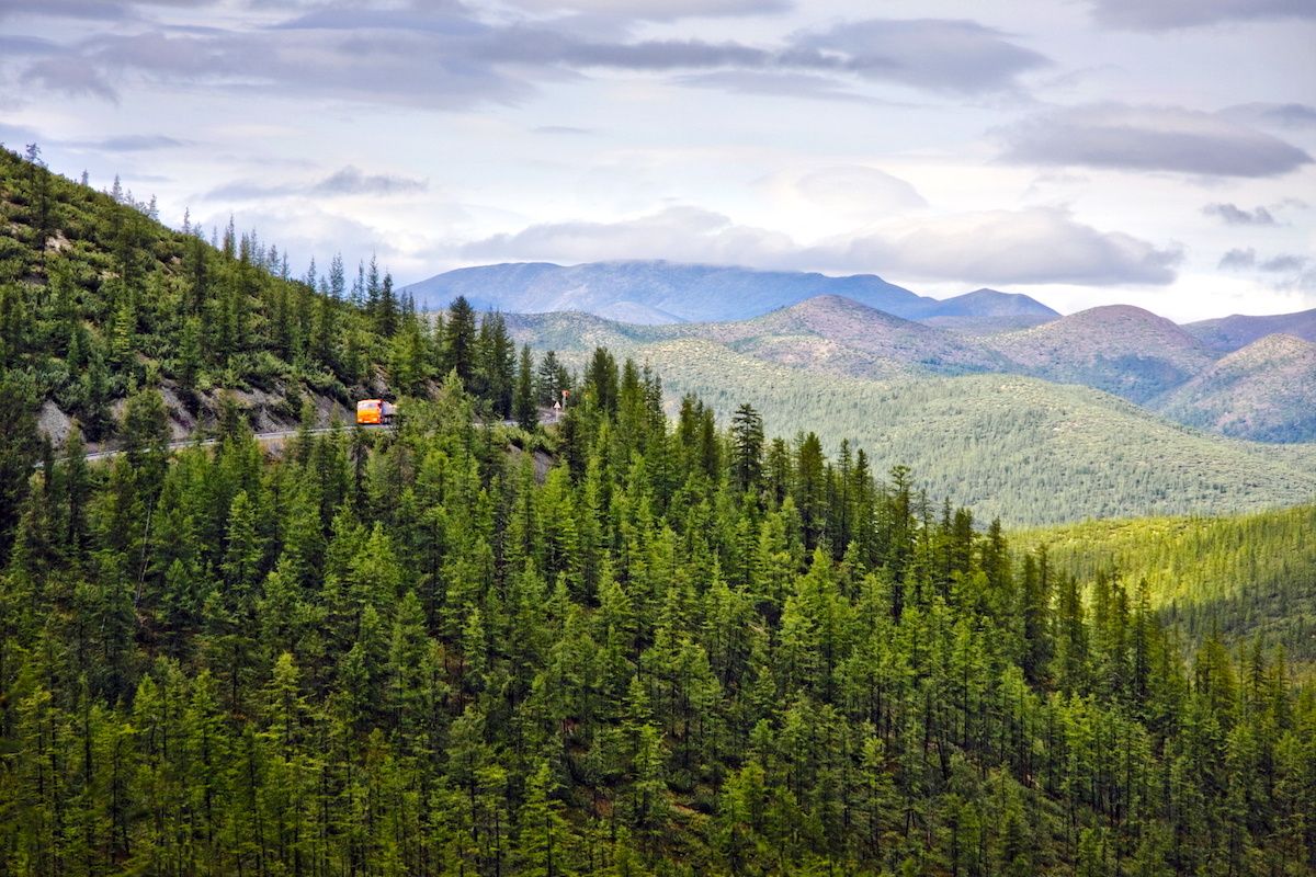 Леса Якутии. Фото: Сергей Смирнов / GeoPhoto