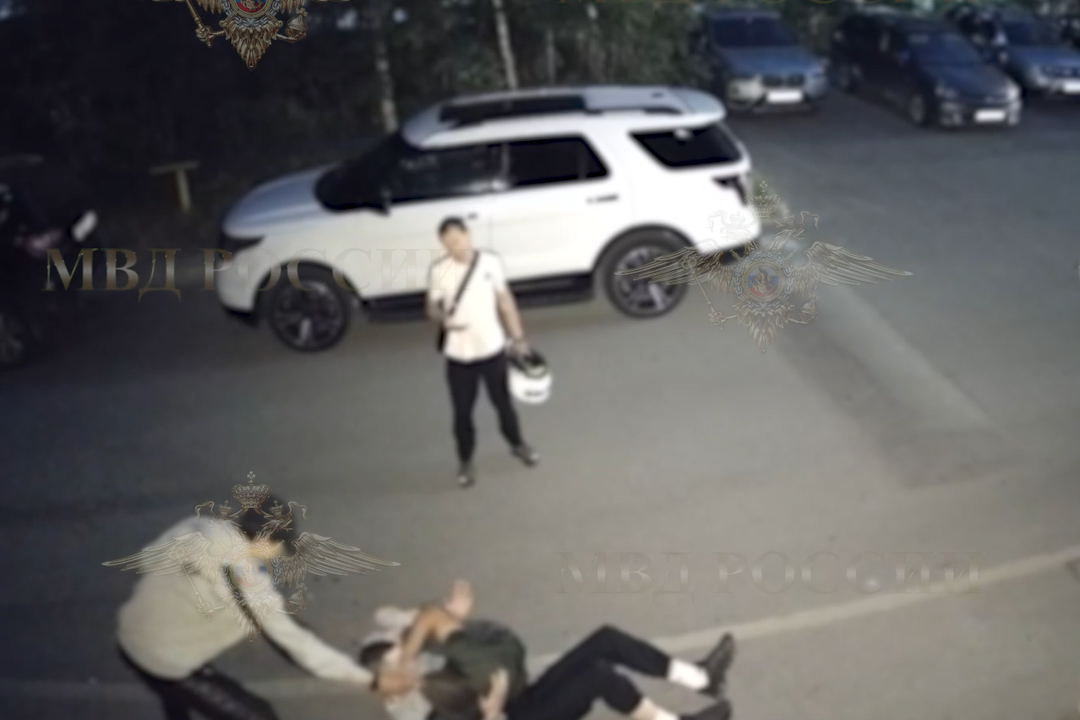 Скриншот видео с камер видеонаблюдения