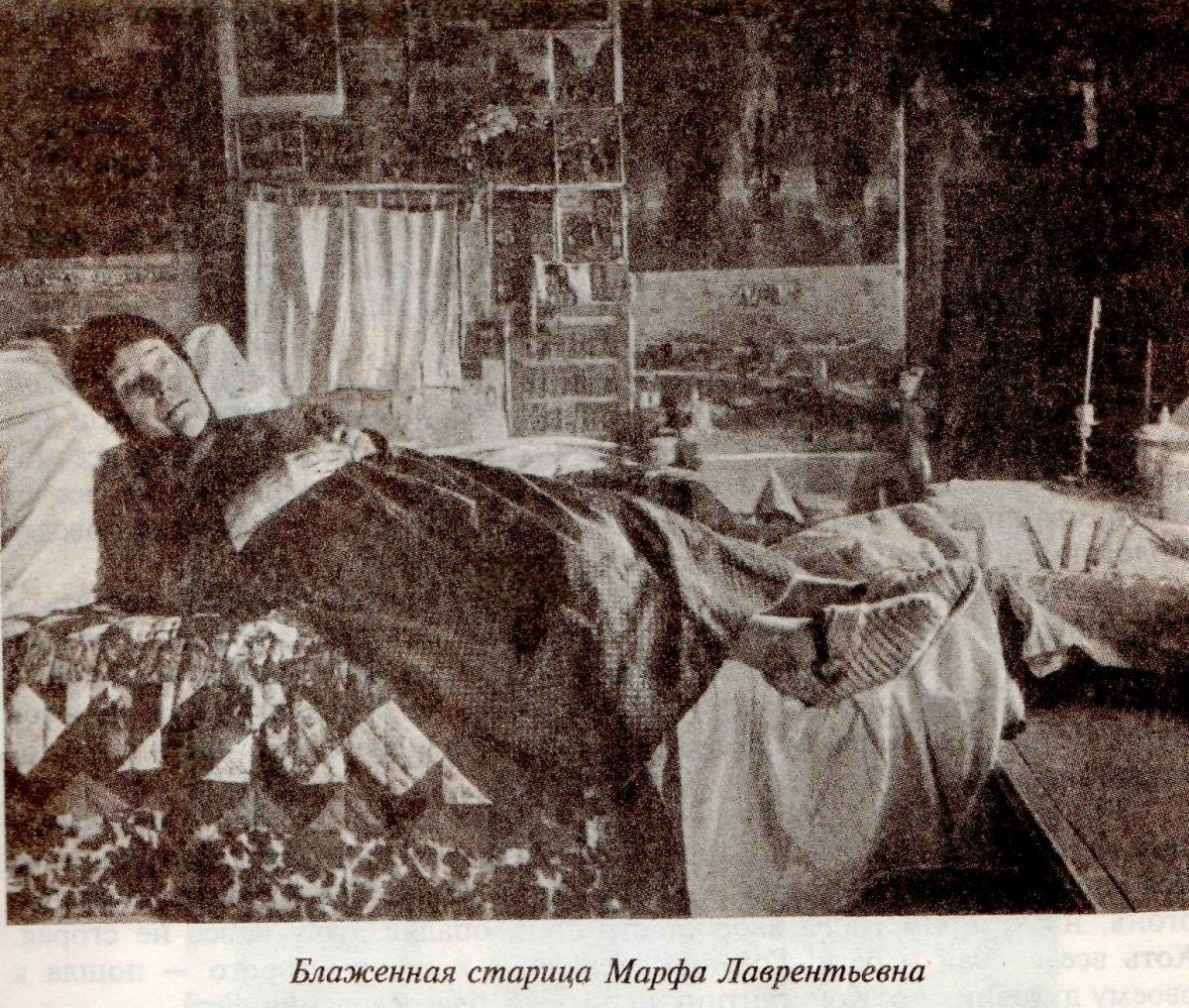 Нашла вот такую прекрасную фотографию. Ее выложил Николай Колесников.