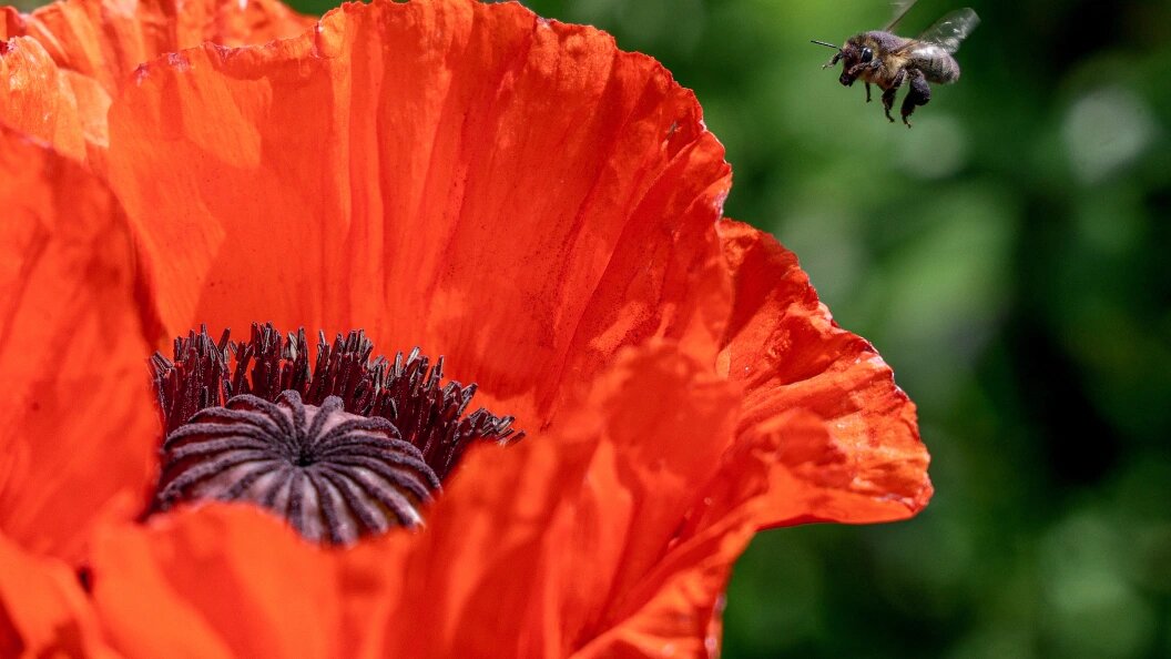    Фото: Andrey Titov/Business Online/Globallookpress