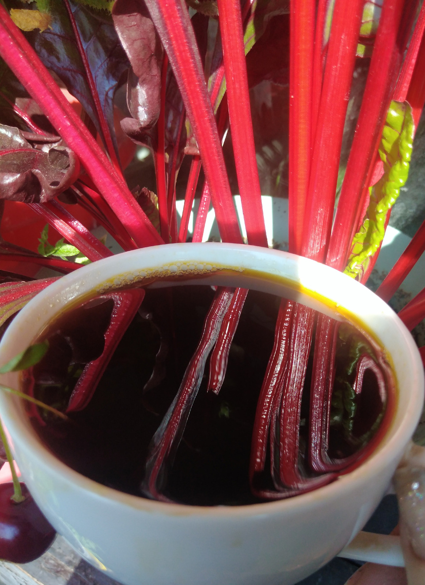 Пью кофе с вишенками  и любуюсь на мангольд. Фото автора канала на балконе