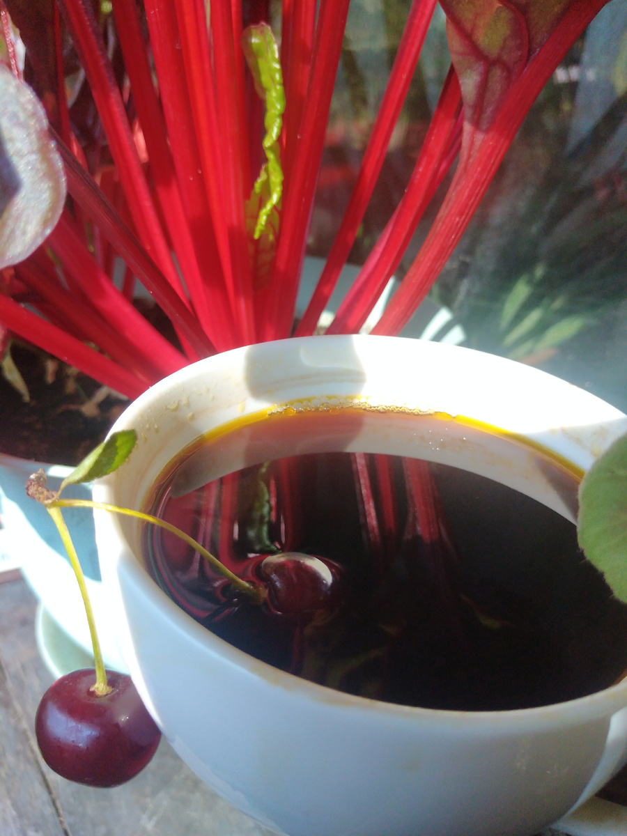 Утренний масляный кофе. Фото на балконе