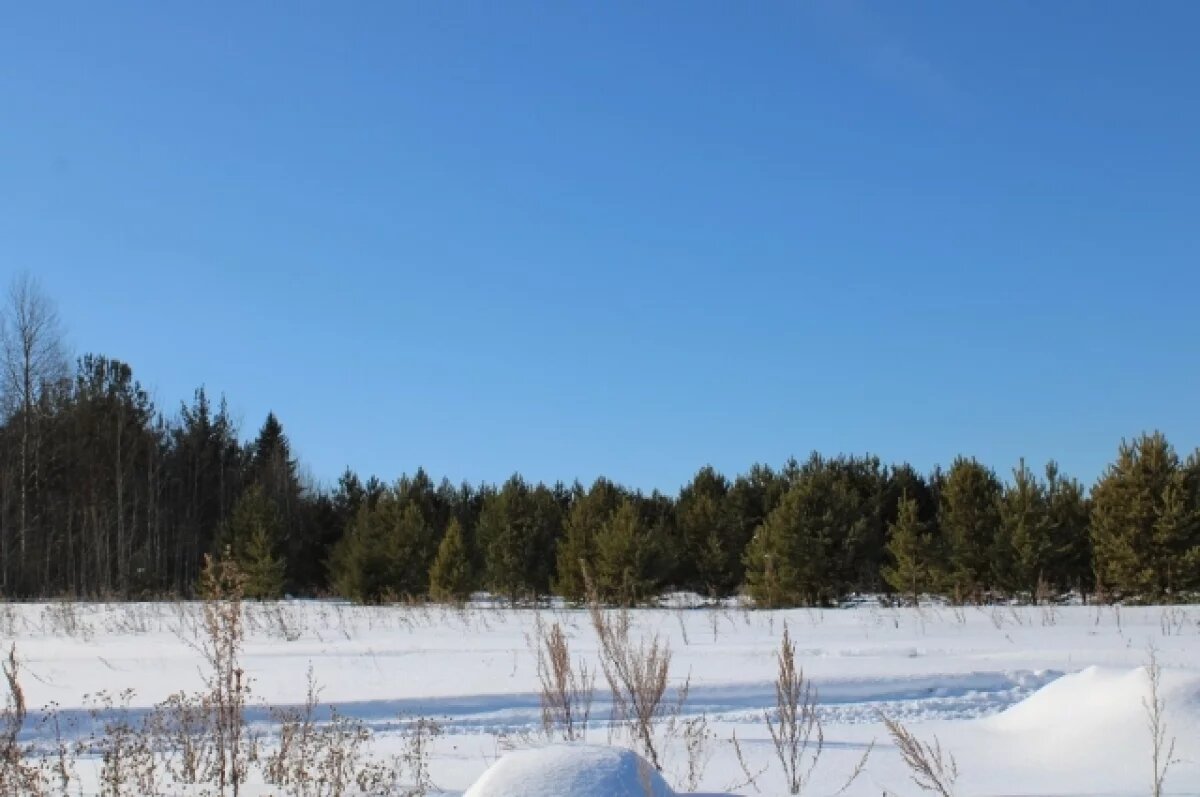    Ученые зафиксировали рекордное потепление в районе Ладожского озера