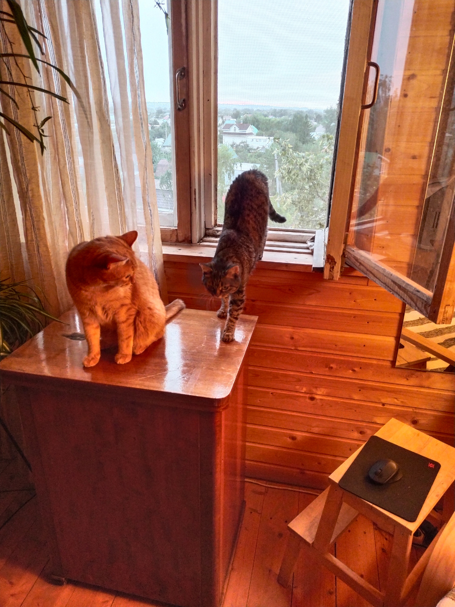 Брошенная кровать за кадром.😁