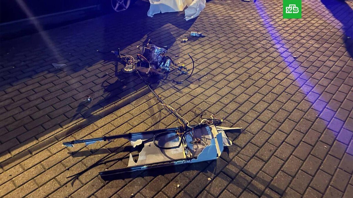    Фото: modmilby / t.me