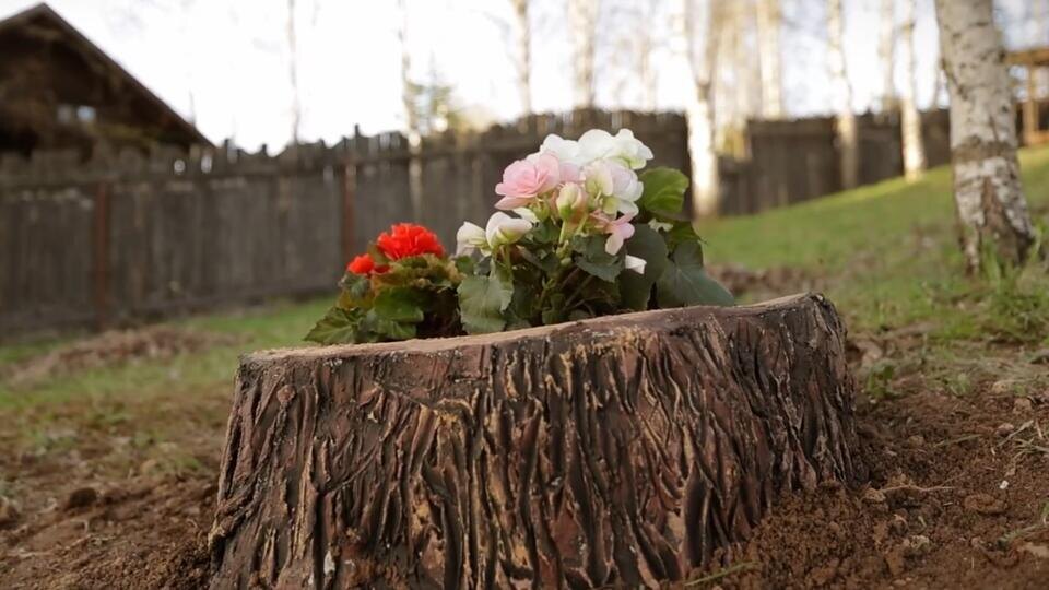 Фото: © Кадр из программы "Самая народная программа", РЕН ТВ