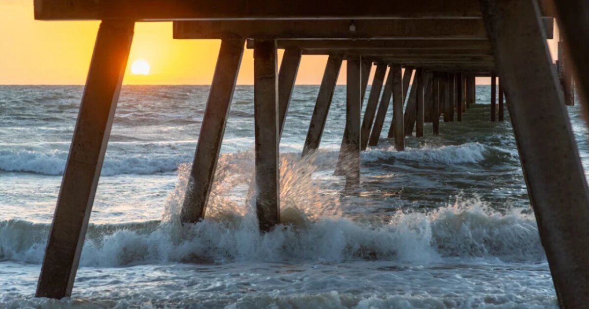 Фото: Stephen Mabbs / unsplash